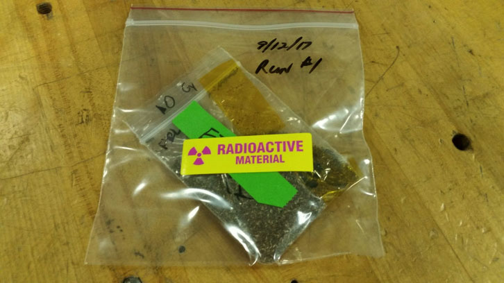 Sample seeds post irradiation